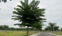 Bán đất chính chủ Hòa Lợi, Bến Cát, Bình Dương - Đường nhựa rộng, pháp lý chuẩn!